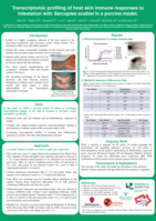 Transcriptomic profiling of host skin immune responses to infestation with Sarcoptes scabieiin a porcine model