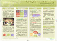 Multi-disciplinary experimental entrepreneurship: Hearing the student voice