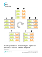Moult cycle specific differential gene expression profiling of the crab Portunus pelagicus