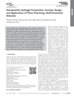 Nanoparticle–Hydrogel Composites: Concept, Design, and Applications of These Promising, Multi-Functional Materials