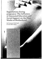 Expectations during pregnancy: the influence of antenatal education and social support on the first weeks of motherhood