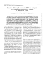 Detection of Chlamydia pneumoniae DNA and antigen in the circulating mononuclear cell fractions of humans and koalas