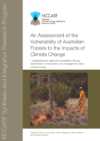 Establishing the need and consultation with key stakeholders in forest policy and management under climate change. Contribution of Work Package 1 to the Forest Vulnerability Assessment. NCCARF Publication number 19/10