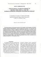 Karyological studies in hybrids of Beluga Huso huso (L.) and the Russian sturgeon Acipenser gueldenstaedti Brandt