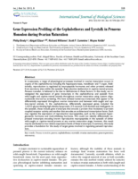 Gene Expression Profiling of the Cephalothorax and Eyestalk in Penaeus Monodon during Ovarian Maturation