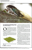 The Genius of the Cicada Wing