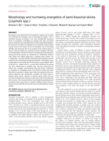Morphology and burrowing energetics of semi-fossorial skinks (Liopholis)