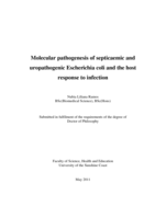 Molecular pathogenesis of septicaemic and uropathogenic Escherichia coli and the host response to infection