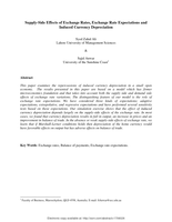 Supply-side effects of exchange rates, exchange rate expectations and induced currency depreciation