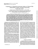 Comparison of Chlamydia pneumoniae isolates by western blot (immunoblot) analysis and DNA sequencing of the omp 2 gene