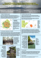 Coastal Stability despite Rapid Submergence: The Unique Case of Pohnpei Island (Federated States of Micronesia)