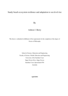 Sandy beach ecosystem resilience and adaptation to sea level rise