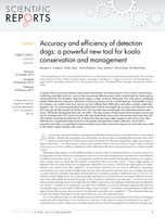Accuracy and efficiency of detection dogs: a powerful new tool for koala conservation and management