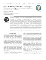 Impact of a Pulse Human Disturbance Experiment on Macrofaunal Assemblages on an Australian Sandy Beach