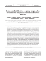 Richness and distribution of sponge megabenthos in continental margin canyons off southeastern Australia