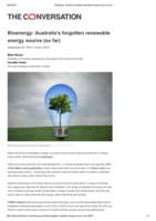 Bioenergy: Australia’s forgotten renewable energy source (so far)