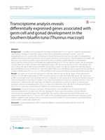 Transcriptome analysis reveals differentially expressed genes associated with germ cell and gonad development in the Southern bluefin tuna (Thunnus maccoyii)
