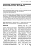 Phytogeny of the Quambalariaceae fam. nov., including important Eucalyptus pathogens in South Africa and Australia