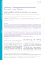 Evolution of extensively fragmented mitochondrial genomes in the lice of humans