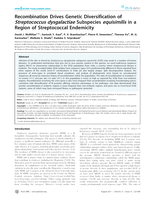 Recombination Drives Genetic Diversification of Streptococcus dysgalactiae Subspecies equisimilis in a Region of Streptococcal Endemicity