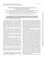 Ultrastructural study of Chlamydia pneumoniae in a continuous-infection model