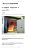 Burning wood: an opportunity for renewable power and heat