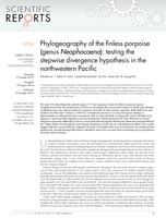 Phylogeography of the finless porpoise (genus Neophocaena): testing the stepwise divergence hypothesis in the northwestern Pacific
