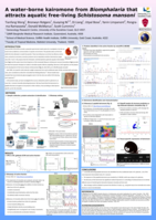 The discovery of a water-borne peptide kairomone of free-living Schistosoma mansonifrom the secretion of Biomphalaria glabrata