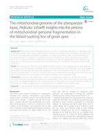 The mitochondrial genome of the chimpanzee louse, Pediculus schaeffi: insights into the process of mitochondrial genome fragmentation in the blood-sucking lice of great apes