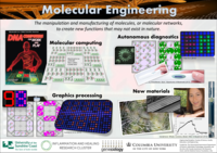 Molecular Engineering in Inflammation and Healing