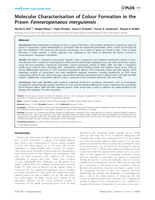 Molecular Characterisation of Colour Formation in the Prawn Fenneropenaeus merguiensis