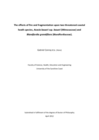 The effects of fire and fragmentation upon two threatened coastal heath species, Acacia baueri ssp. baueri (Mimosaceae) and Blandfordia grandiflora (Blandfordiaceae)