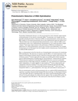 Potentiometric detection of DNA hybridization