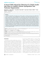 A Sexual Shift Induced by Silencing of a Single Insulin-Like Gene in Crayfish: Ovarian Upregulation and Testicular Degeneration