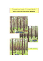 Performance and genetics of provenance hybrids of Pinus caribaea var. hondurensis in Queensland