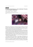 Precopula and female-biased sex ratio in Iphiolaelaps Womersley (Acari: Mesostigmata: Iphiopsidae)