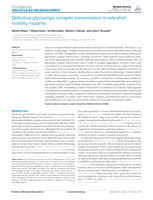 Defective glycinergic synaptic transmission in zebrafish motility mutants