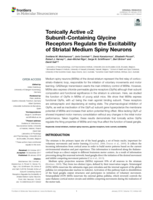 Tonically Active α2 Subunit-Containing Glycine Receptors Regulate the Excitability of Striatal Medium Spiny Neurons