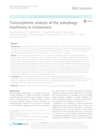 Transcriptomic analysis of the autophagy machinery in crustaceans