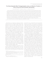 The Mesostigmatid Mite Protogamasellus mica, an Effective Predator of Free-Living and Plant-Parasitic Nematodes