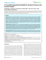A Tractable Experimental Model for Study of Human and Animal Scabies