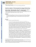Selective isolation of Yersinia pestis from plague-infected fleas