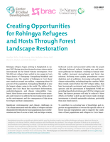 Creating Opportunities for Rohingya Refugees and Hosts Through Forest Landscape Restoration. CGD Brief: 2 July 2019