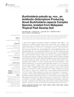 Burkholderia paludis sp. nov., an antibiotic-siderophore producing novel Burkholderia cepacia complex species, isolated from malaysian tropical peat swamp soil