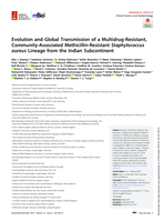 Evolution and Global Transmission of a Multidrug-Resistant, Community-Associated Methicillin-Resistant Staphylococcus aureus Lineage from the Indian Subcontinent