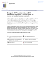 Oncogenic BRAF mutation induces DNA methylation changes in a murine model for human serrated colorectal neoplasia