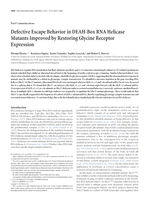 Defective escape behavior in DEAH-Box RNA Helicase mutants improved by restoring Glycine receptor expression