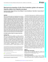 Mechanical properties of silk of the Australian golden orb weavers Nephila pilipes and N. plumipes