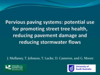 Pervious paving systems: potential use for promoting street tree health, reducing pavement damage and reducing stormwater flows