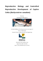 Reproductive Biology and Controlled Reproductive Development of Captive Cobia (Rachycentron canadum)